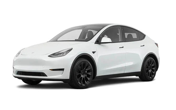 Model Y 2019–2024